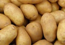 Naručio PlayStation, a dobio krumpir