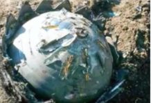 Misteriozna kugla iz svemira spustila se u vrt lokalnog seljaka