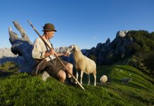 Jedan od najboljih studenata prava čuva ovce