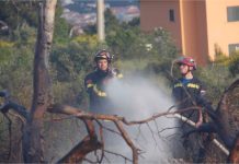 Policijskim očevidom utvrđeno da je požar u Kuli Norinskoj podmetnut!