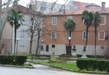 Mladen Malta: Koliko je Zadar zelen?