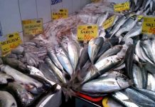 Makarska ribarnica i dalje zatvorena