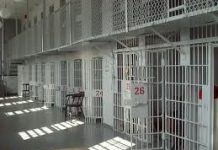 Bjegunac Makijenko se danas predaje zadarskoj policiji!