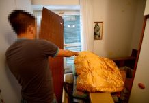 Mladom bračnom paru zmija uselila u stan, nitko ju ne može uloviti