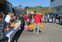 Zadranima opet mandarine po 3 kn za kilogram