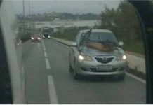 Zadranin prevozio biciklu na – haubi!