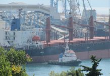 U Pločama se otvara 200 radnih mjesta