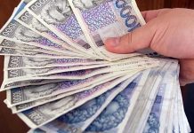 Evo besplatnog savjeta kako mjesečno možete zaraditi 35 tisuća kuna