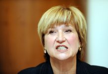 Antun Babić: Ruža Tomašić pravi nas budalama!