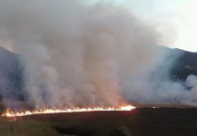 Požar ugrozio ornitološki rezervat u dolini Neretve