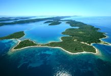 Dugi otok: Optužio ga za trovanje mački, pa ga namlatio