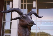 Antifašisti podižu spomenik Škicinoj kozi Bilki…