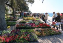 “Cvijet Zadra” i ove godine na zadarskoj rivi