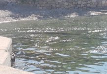 FOTO KRITIKA  More u Starigradu i cipli izbjegavaju