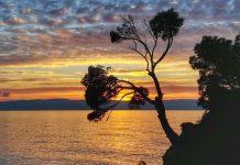 FOTO Pogledajte fotografije Dragana Bekavca-Ivandića koje koriste RTL i HTV