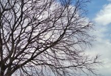 34 nova slučaja zaraze u Zadarskoj županiji