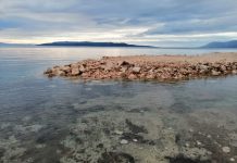 UZOR Osejava: Tražimo hitan inspekcijski nadzor zbog nepravilnosti u slučaju Romana d.o.o.