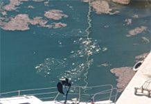 FOTO KRITIKA Onečišćenje mora u marini Ramova