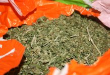 Priveden 43-godišnjak iz Vrgorca kod kojeg je nađena marihuana