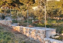 OTKRIVAMO Evo gdje je završio gradski kamen koji je uzeo Thomas Mravičić (NLO)