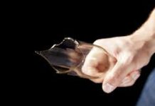 Za pokušaj ubojstva na Viru, osumnjičen 23-godišnjak