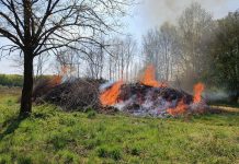 Baka (88) iz okolice Benkovca u dvorištu palila travu – sada joj prijeti zatvor!