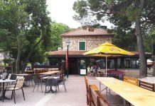 OTVORENO PISMO Branko Srzić prozvao IO PŠRD Arbun za brojne nepravilnosti