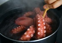 Hobotnice, jastozi i rakovi su osjećajna bića i ne smije ih se kuhati žive