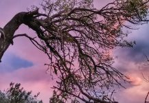 FOTO Brela 12.12. u 12 fotografija…