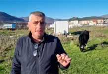 Mesić izgubio tužbu: Bulj je imao pravo nazvati Mesića krivokletnikom i elementarnom nepogodom