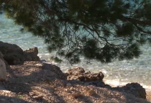 DOBRO JE POMORSKO, A NE ĆAĆINO Kako se zaobilazi zakon u Makarskoj?