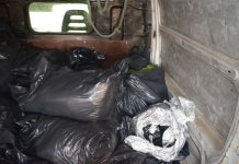 VIDEO Pet improviziranih laboratorija pronađeno u kući u Centru, a zatim i 106 kg marihuane u kombi vozilu