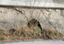 FOTO KRITIKA Stanovnici Krvavice apeliraju nadležnima da povedu računa o izgledu mjesta