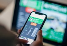 Kako do dodatnih prihoda u 2022. godini