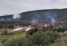 Spaljivala korov kod Metkovića, pa zapalila 139 hektara močvare i borove šume!