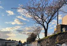 CESTA RAZDORA Započeli radovi na pristupnom putu budućeg SKC Apfel – građani nezadovoljni