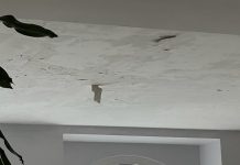 FOTO KRITIKA Gradonačelniče Paunoviću, zovite majstora!