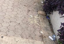 FOTO KRITIKA Čisti li itko šetnicu na Peškeri?