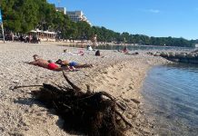 FOTO Pljušte kritike na račun izgleda makarskih plaža