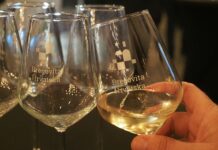 U petak u Laubi 2. BregFest s više od 300 vina Bregovite Hrvatske