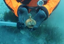 Nova arheološka otkrića u hvarskoj luci potvrđuju povijesne spoznaje