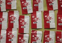 VIDEO Policija na jugu Dalmacije zaplijenila materijal za proizvodnju 130 tona marihuane!