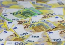 Predsjednik udruge preko 12 tisuća eura potrošio za sebe, umjesto na životinje o kojima je udruga brinula