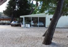 BOGOVI I VOLOVI Kako je nakaradni štekat restorana „Bounty“ preživio Paunovićevo čišćenje Peškere?