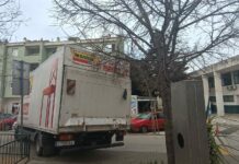 FOTO KRITIKA Nespretni vozač kamiona na Dugišu polomio grane stabla, pregazio cvijeće
