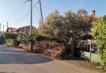 FOTO KRITIKA Zatrpao ulicu smećem – službe ne reagiraju