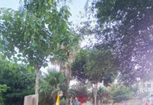 PRIJATELJSTVO BEZ GRANICA – izložba hrvatsko-poljskog prijateljstva u Gracu