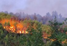 Muškarac kazneno prijavljen zbog požara u Velikom Brdu