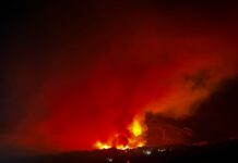 FOTO/VIDEO Veliki požar kod Makarske – izgorjelo nekoliko automobila?