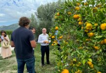 FOTO Ministar Dabro na radnom sastanku i obilasku proizvođača doline Neretve